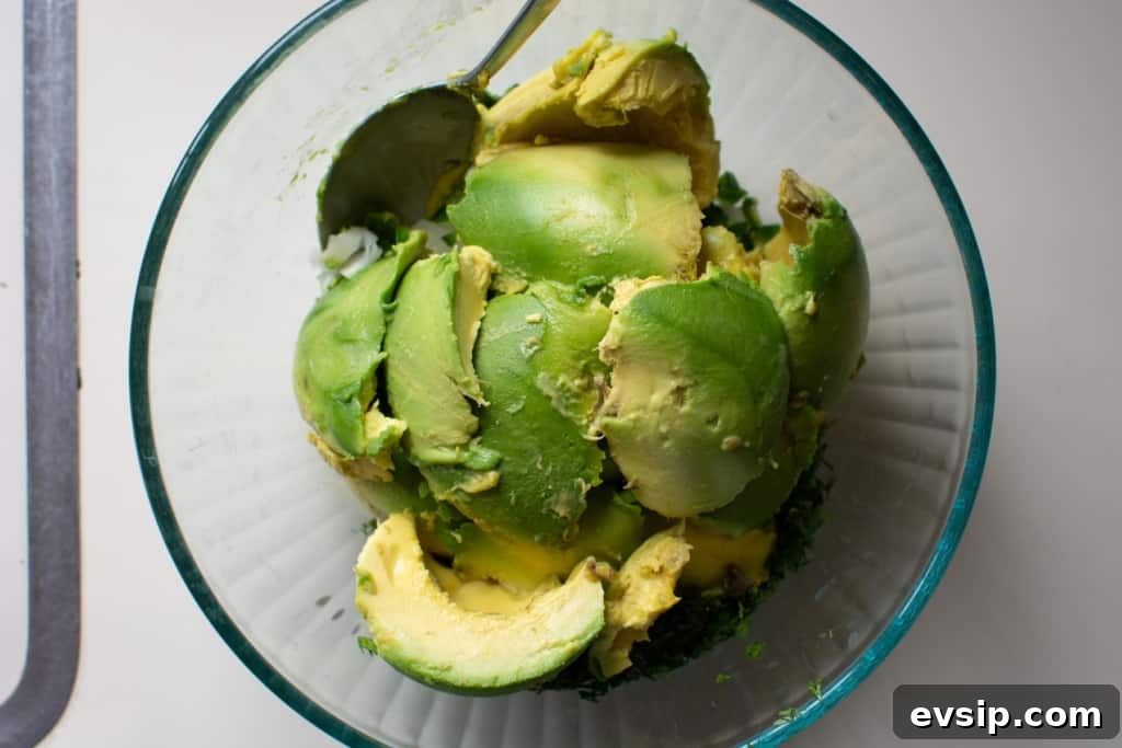 A glass bowl filled with scoops of avocado and a spoon sticking out of one side. 