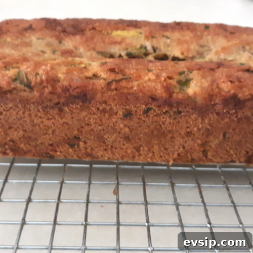 Keto Zucchini Bread Recipe with Vegan Options and Low-Carb Tips 2 img 3803 1