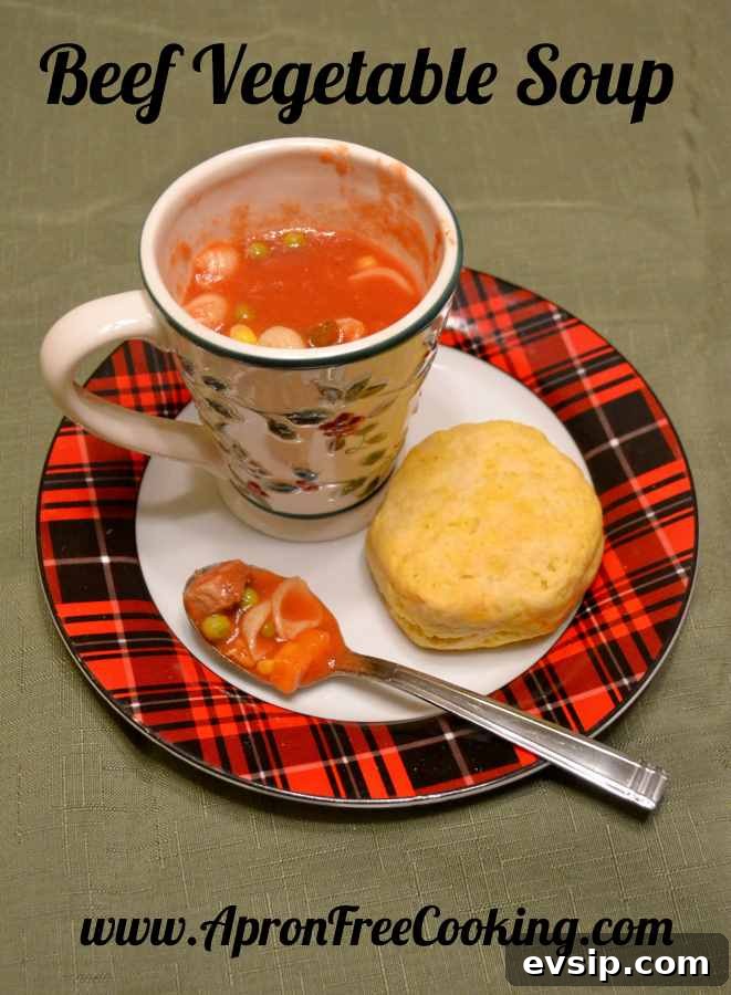 Beef Vegetable Soup Recipe