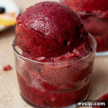 4-ingredient homemade blueberry peach sorbet