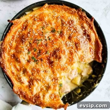 golden flaky chicken and leek pot pie