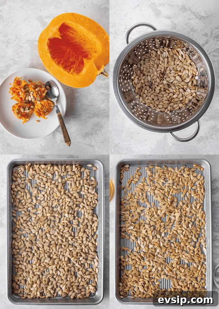 Crunchy Oven-Roasted Pumpkin Seeds for Snacking and Baking 4 steps to make roasted pumpkin seeds