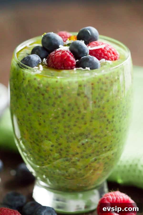 Kiwi Chia Pudding Primavera Kitchen Recipe