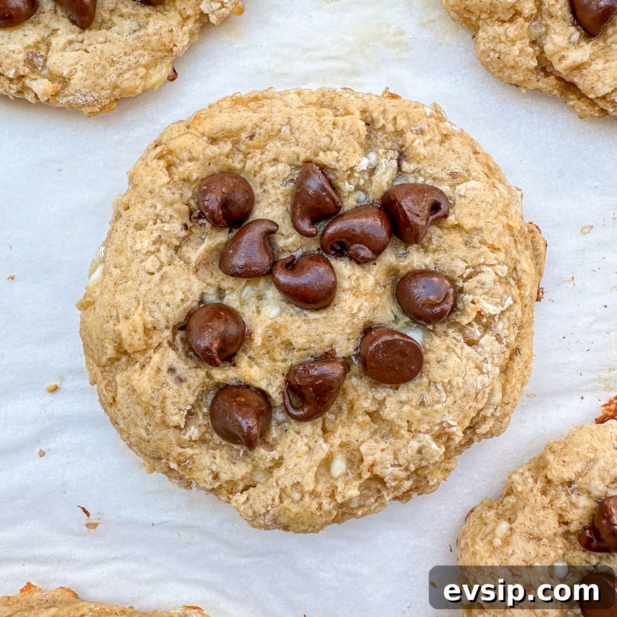 15 Delicious Cottage Cheese Recipes for Every Meal 15 Cottage cheese cookies topped with gooey chocolate chips, great as a healthy protein dessert with low calories and calories