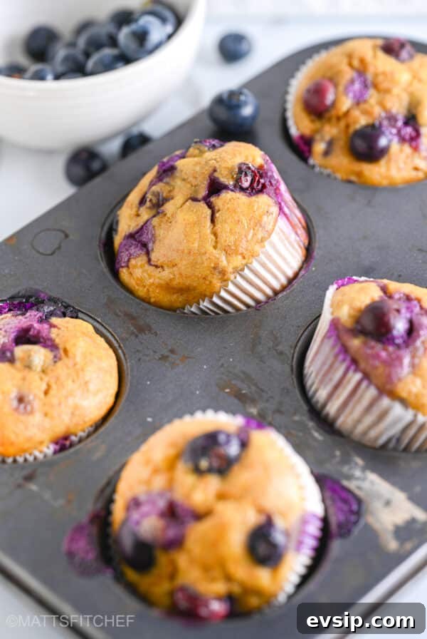 15 Delicious Cottage Cheese Recipes for Every Meal 33 Close up of high protein cottage cheese muffins with juicy blueberries, bursting with flavors and juiciness.
