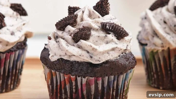 Closeup of chocolate cupcakes with white speckled frosting on top.