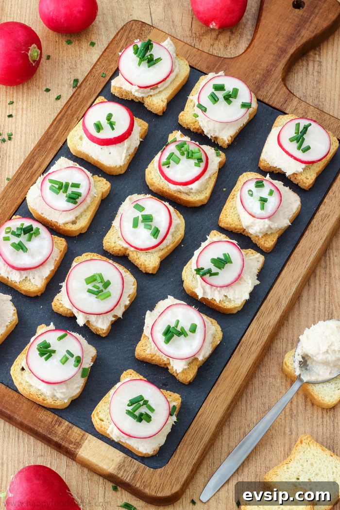 Tuna Mousse Dip and Appetizers Picture