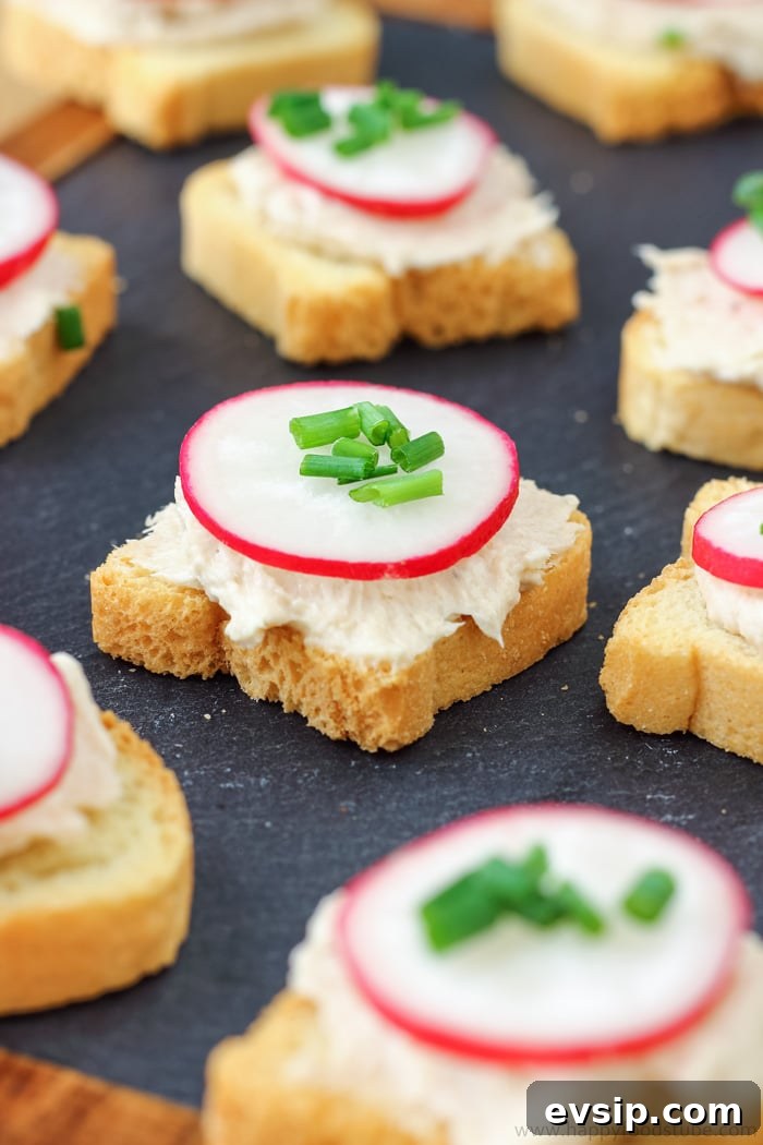 Tuna Mousse Dip and Appetizers Photo