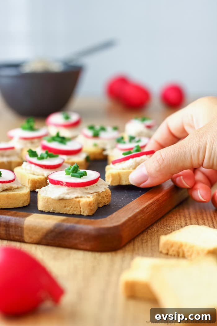 Tuna Mousse Dip and Appetizers Pic