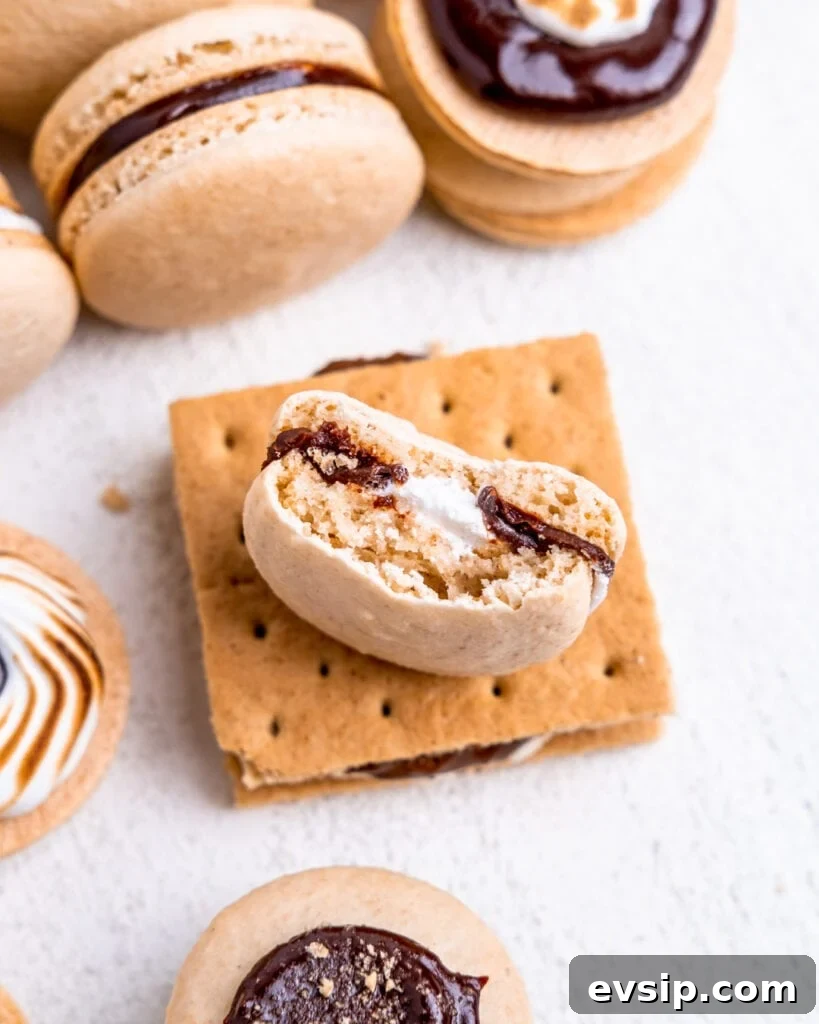 A s'mores macaron with a bite out of it sitting on top of an actual s'more. You can see the marshmallow cream & chocolate ganache fillings and full graham cracker shells.