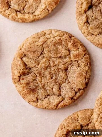 A chewy snickerdoodle cookie made with sourdough discard.