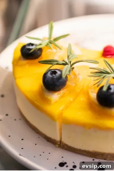 Instant Pot Lemon Cheesecake: Quick Creamy Recipe Under 1 Hour 7 lemon toppings