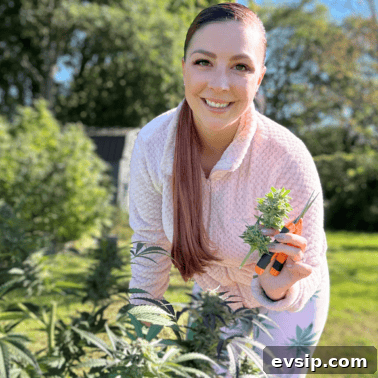 Cannabis Trichomes Explained: How They Affect Potency and Flavor 24 A picture of Emily Kyle harvesting a cannabis plant.