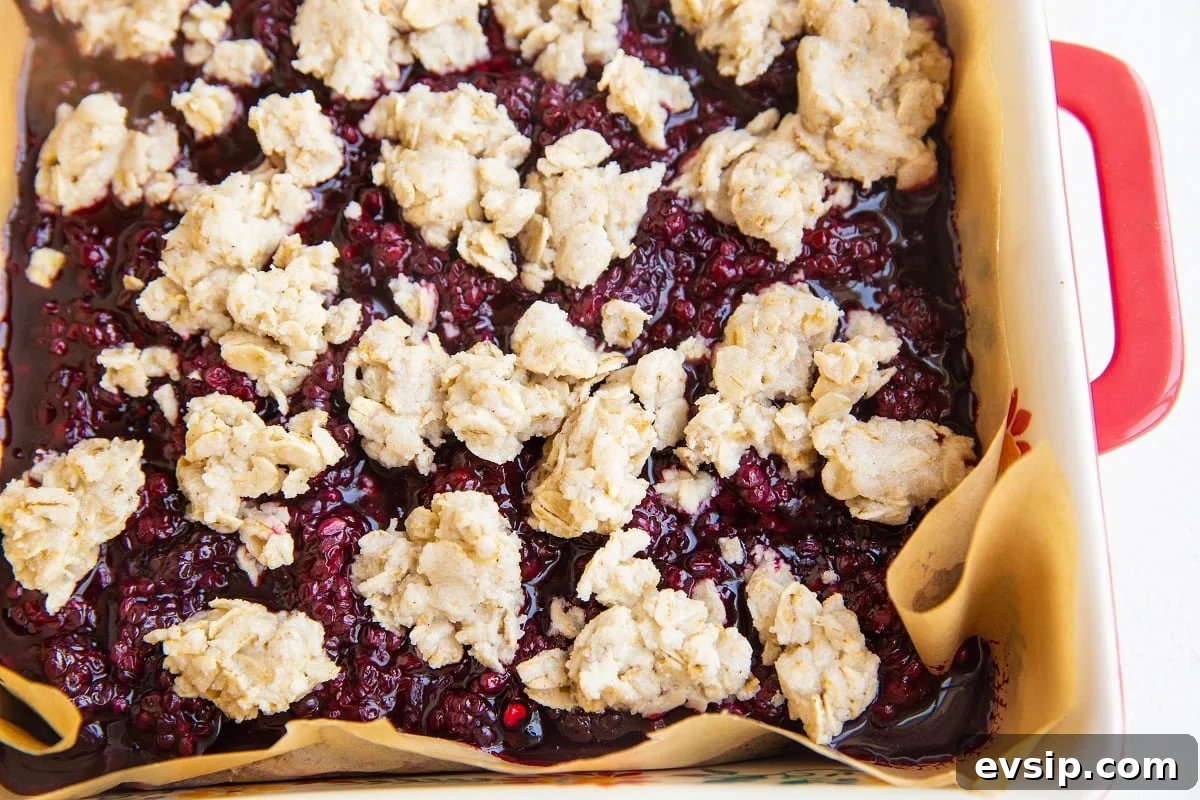 Gluten-Free Vegan Blackberry Pie Bars — 5 Ingredients 10 Blackberry oat bars ready to go into the oven