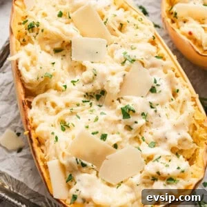half of a roasted spaghetti squash mixed with alfredo sauce, garnished with parsley