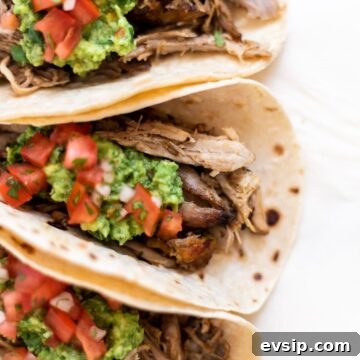a top down view of pork carnitas tacos