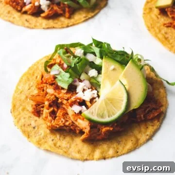a close up side view of a chicken tinga tostada.