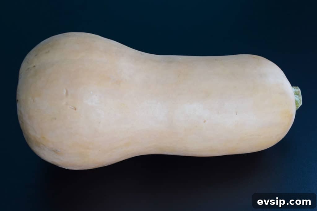 butternut squash on black background 