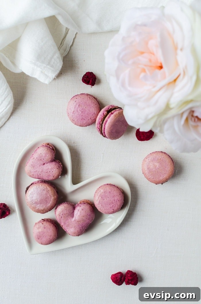 raspberry macarons with a smooth chocolate ganache