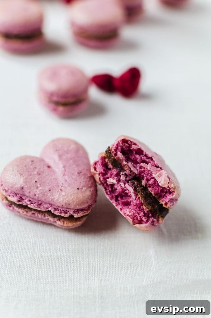 Sweet, raspberry macarons with a smooth chocolate ganache. These macarons will be your favorite new cookie