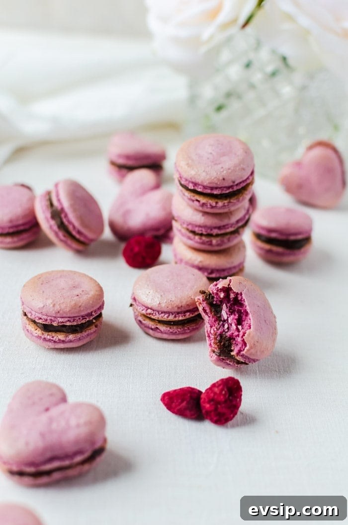 These raspberry macarons with chocolate ganache are foolproof even for a beginner