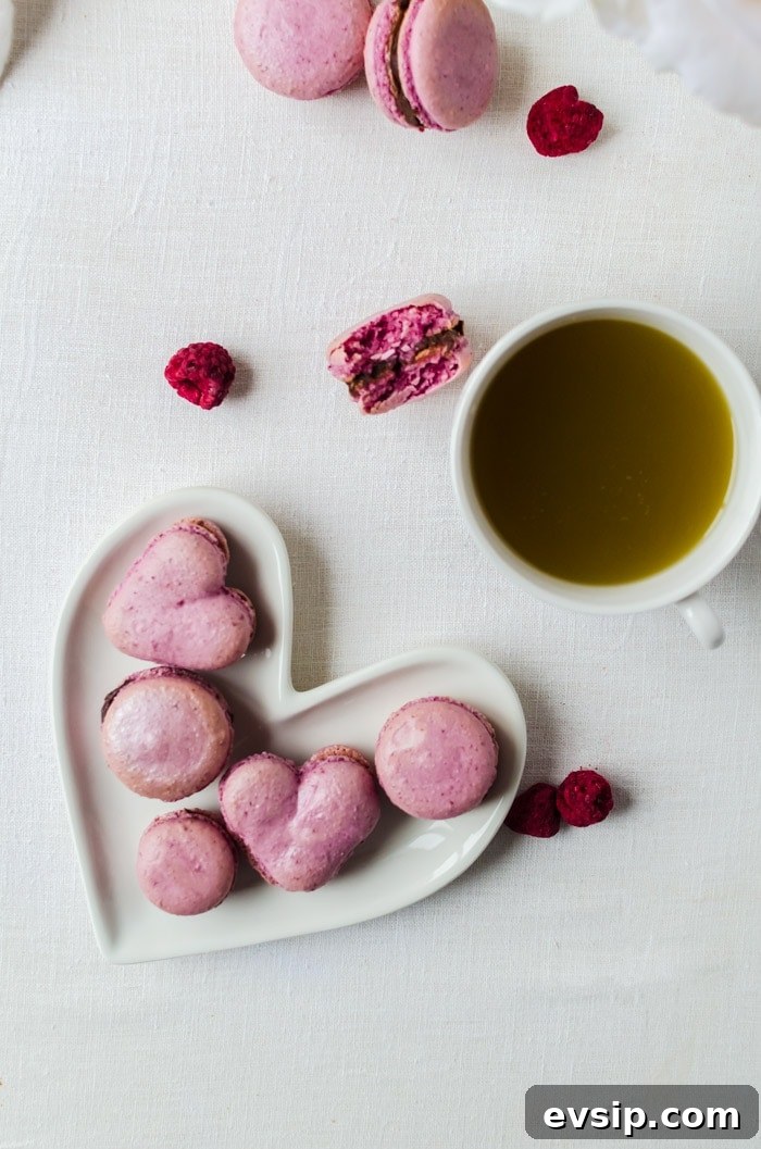 Foolproof raspberry macarons with a creamy chocolate ganache