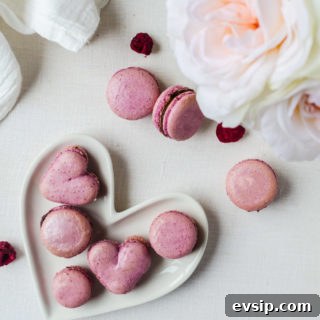 raspberry macarons with a smooth chocolate ganache