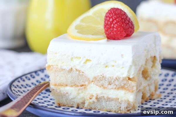 9 Refreshing No-Bake Summer Desserts You’ll Love 3 img 6003 2