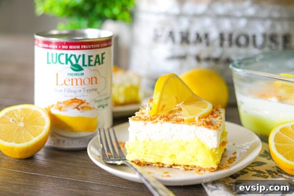 9 Refreshing No-Bake Summer Desserts You’ll Love 5 img 6003 4