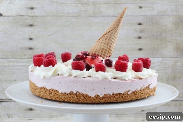 9 Refreshing No-Bake Summer Desserts You’ll Love 8 img 6003 7