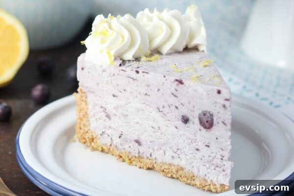 9 Refreshing No-Bake Summer Desserts You’ll Love 10 img 6003 9