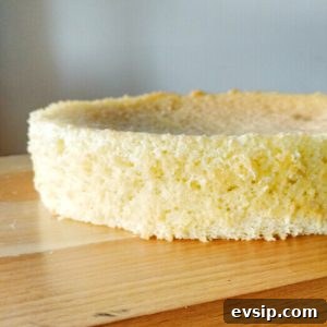 perfect fatless sponge