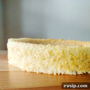perfect fatless sponge