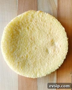 Fatless sponge