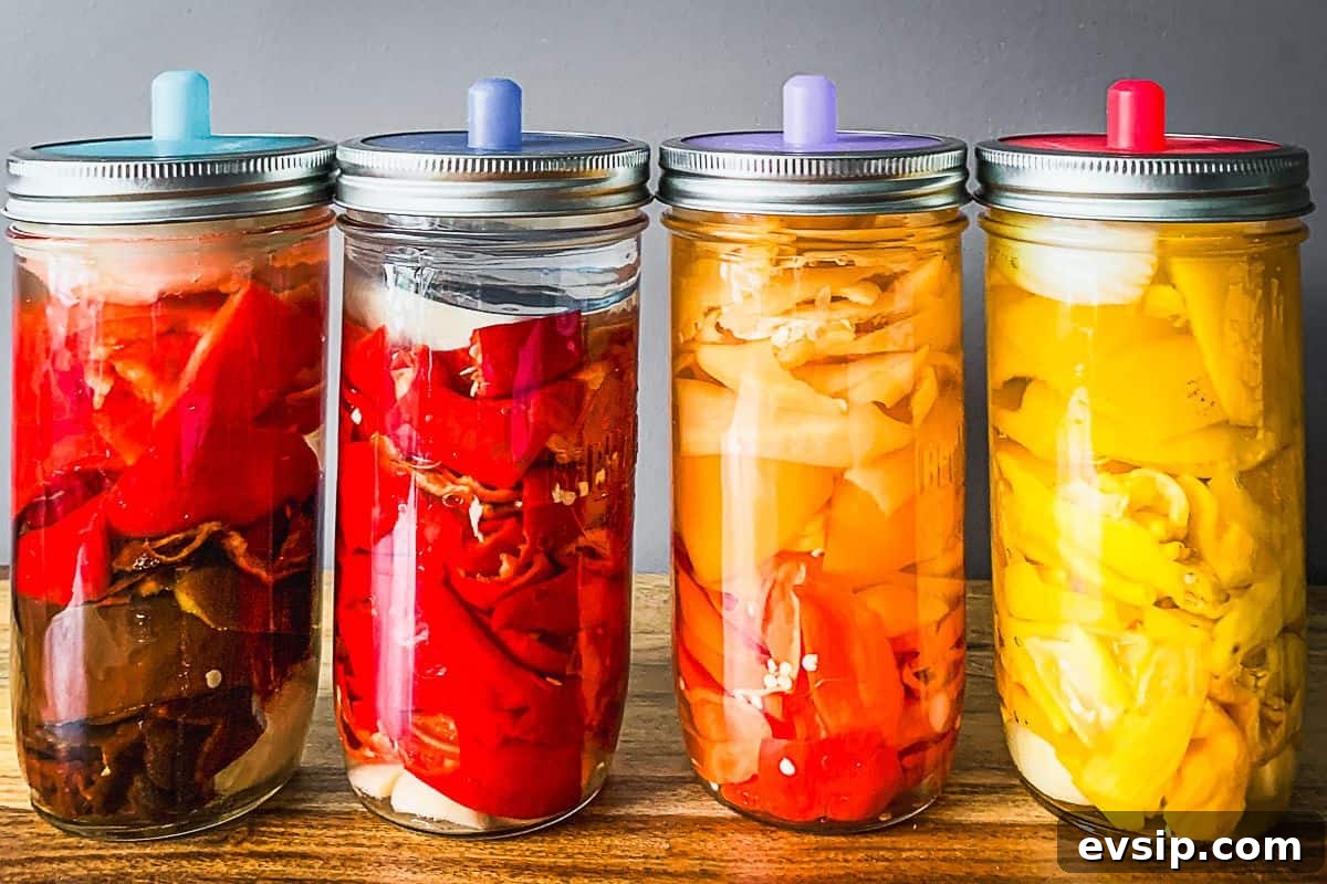 Mason jars full of hot peppers, garlic and onions getting ready to be fermented. 