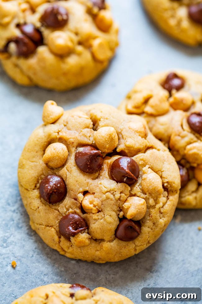 Chewy Chocolate Chip & Peanut Butter Chip Cookie Recipe 3 Chocolate Chip Peanut Butter Chip Cookies.