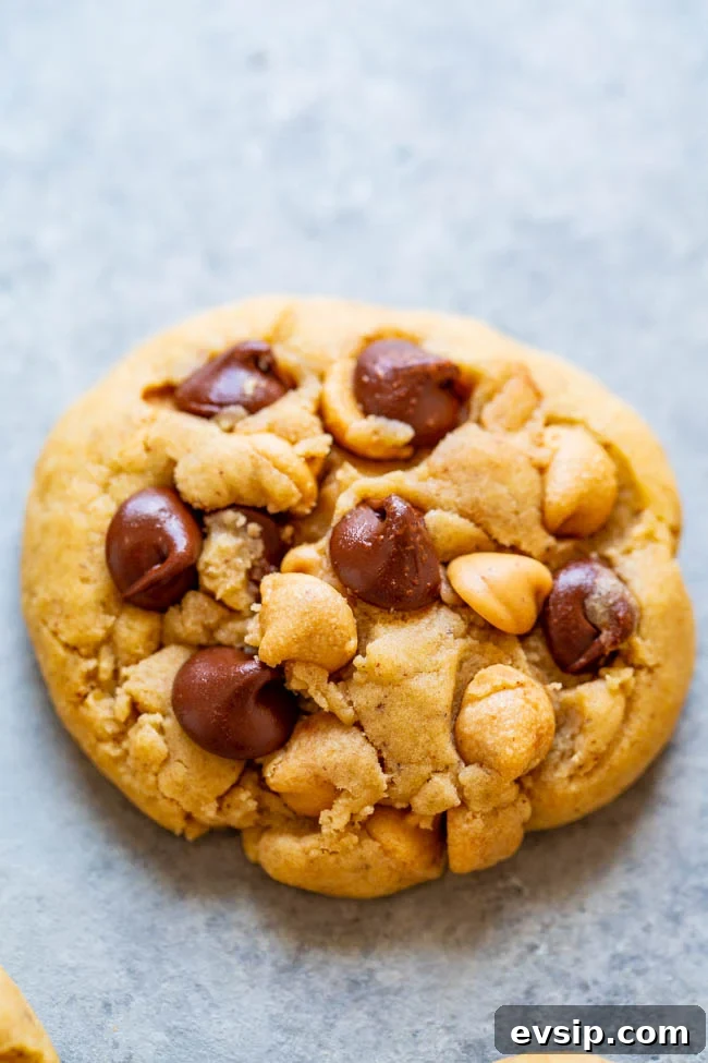 Chewy Chocolate Chip & Peanut Butter Chip Cookie Recipe 4 A Chocolate Chip Peanut Butter Chip Cookie.