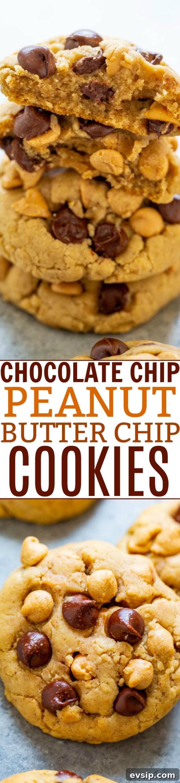 Chewy Chocolate Chip & Peanut Butter Chip Cookie Recipe 8 Pinterest image for Chocolate Chip Peanut Butter Chip Cookies.