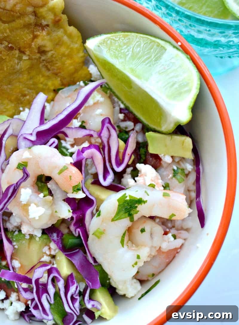 shrimp ceviche lasagna