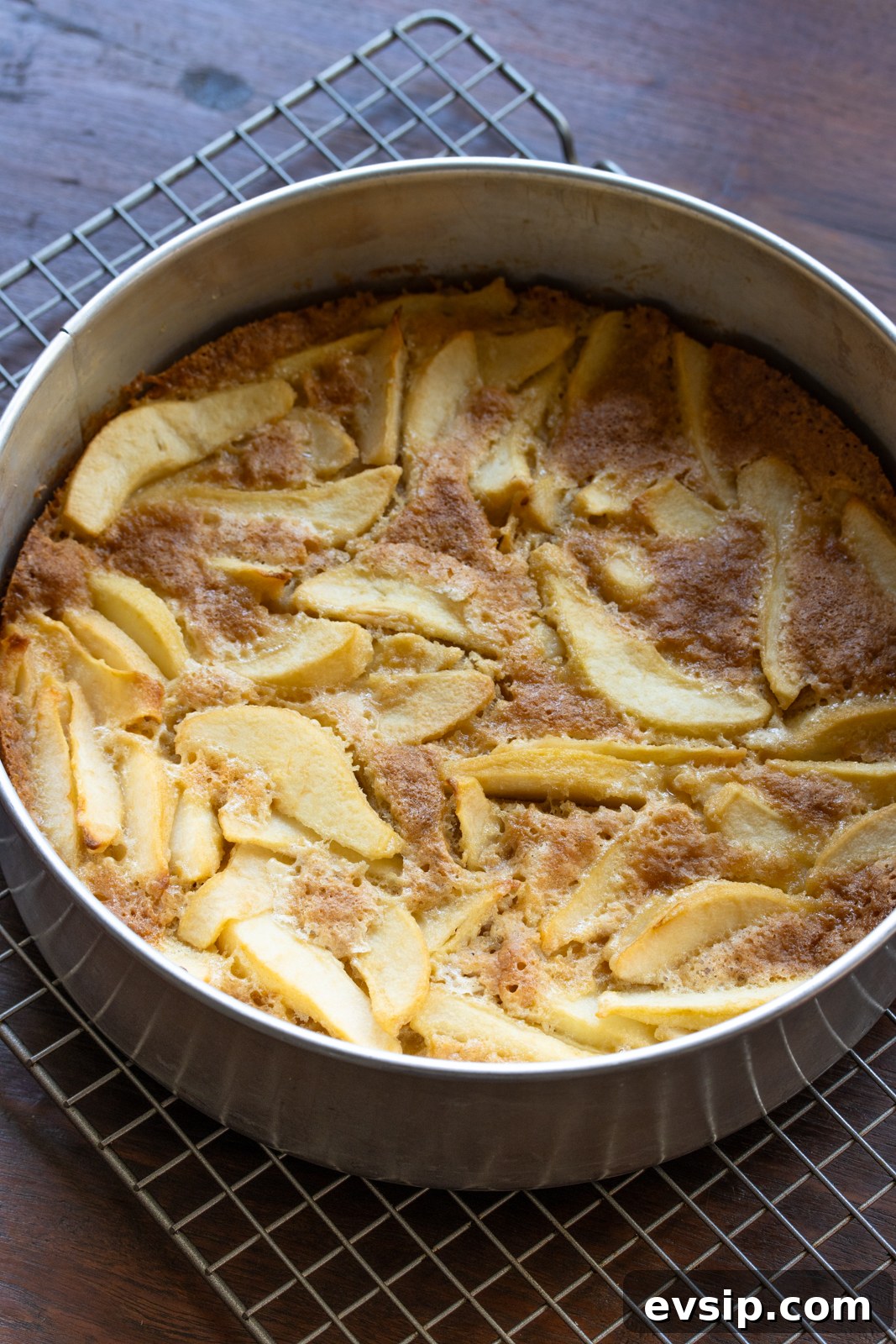 Pear caked cooked and still in the springform waiting to cool off