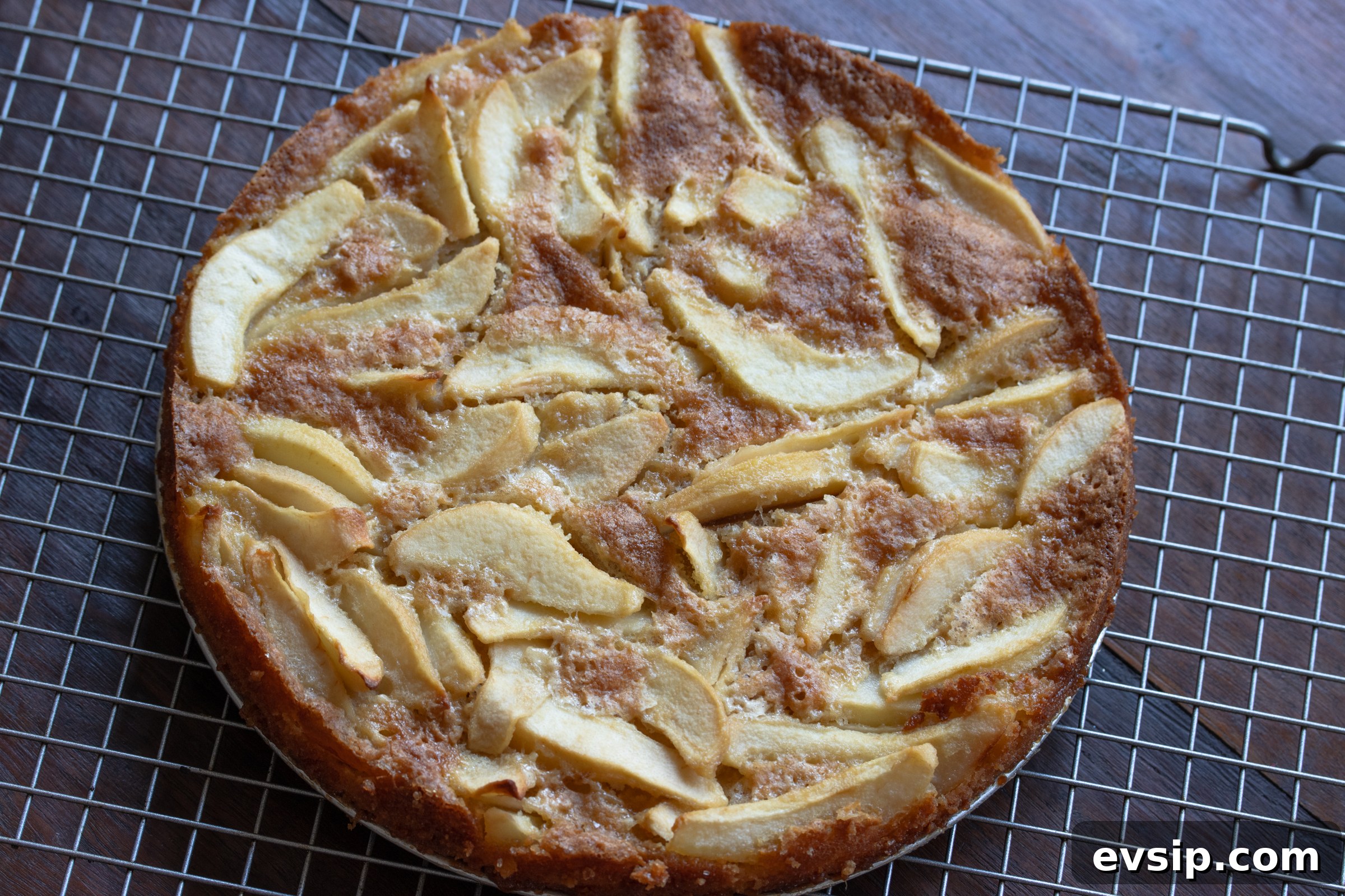 Springform removed and cake placed on a cooling rack 