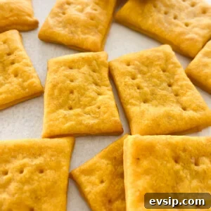 15 Kid-Friendly Pumpkin Recipes for Fall 22 Cheesy pumpkin crackers