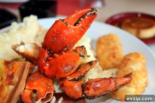 Best Healthy Can Crab Meat Recipes You’ll Love