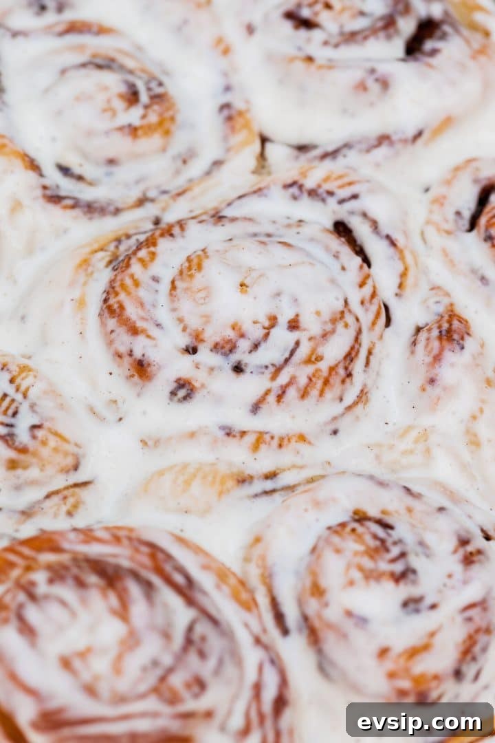 delicious-snack-rolls