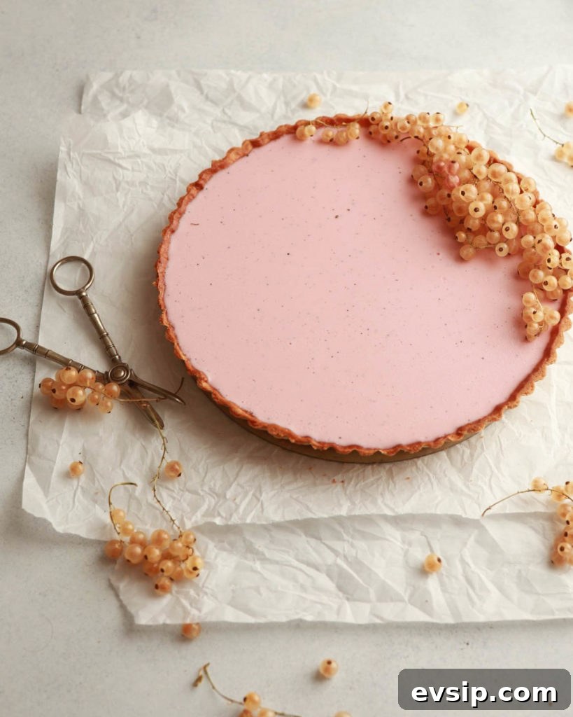 Vanilla Panna Cotta Tart with Red Currant Glaze 5 Red Currant-Vanilla Panna Cotta Tart