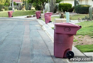 trash service