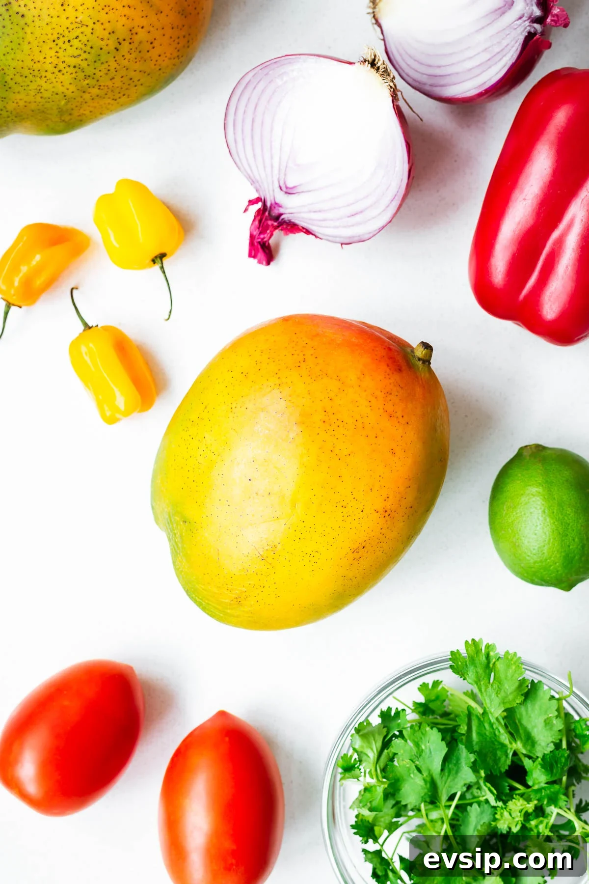 Mango Habanero Salsa Recipe — Fresh Homemade Fruit & Chili Salsa 3 All the ingredients needed for mango habanero salsa (raw or roasted salsa). Ingredients include mango, tomatoes, lime, red bell pepper, red onion, habanero peppers and fresh cilantro leaves.