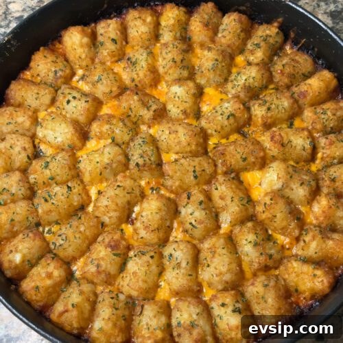 Sloppy Joe Tater Tot Casserole Recipe with Cheesy Beef Filling 10 Sloppy Joe Tater Tot Casserole