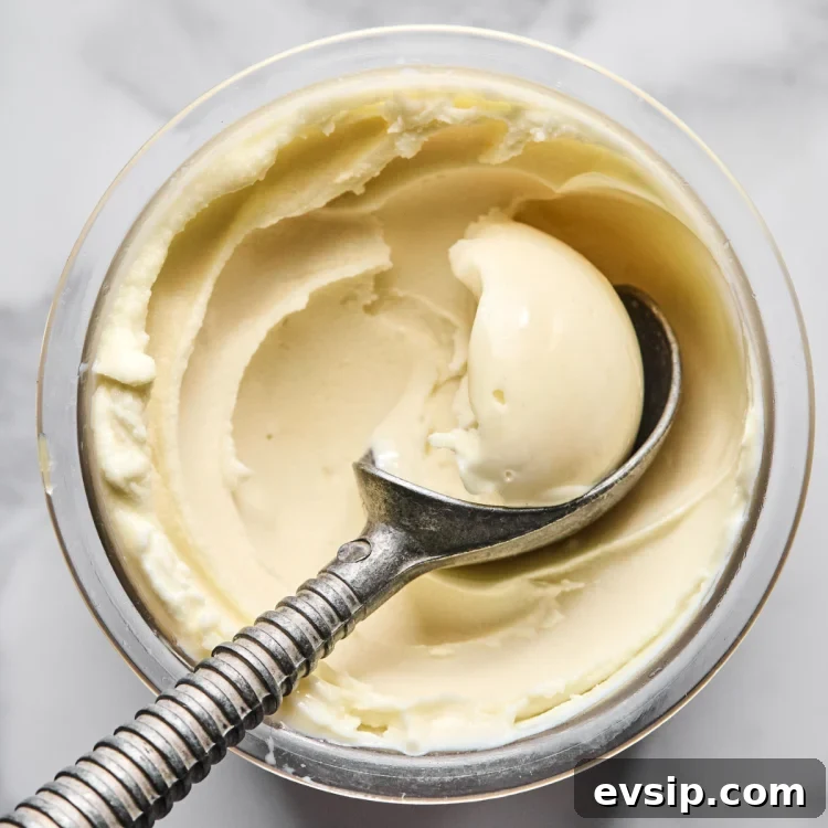 Ninja creami vanilla ice cream being scooped with ice cream scoop out of pint container.