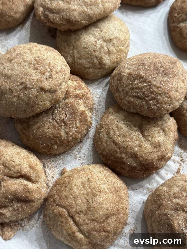 Classic Cinnamon Snickerdoodle Cookie Recipe for Soft, Chewy Treats 2 snickerdoodle cookies